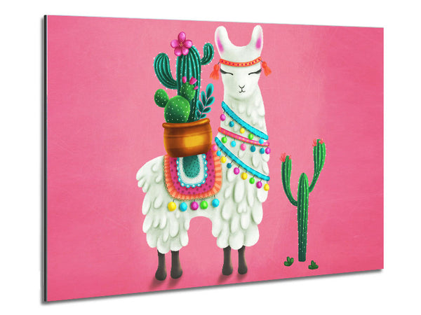 Llama Carrying Cactus