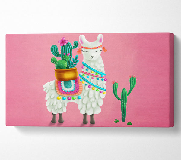 Llama Carrying Cactus