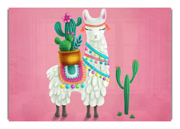 Llama Carrying Cactus