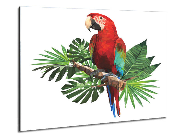 Parrot On A Branch