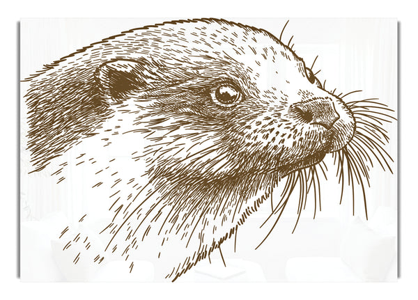 Otter Face