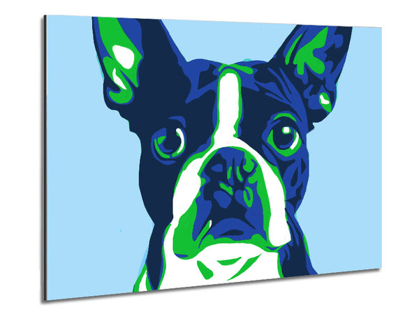 The French Bulldog Pop Art