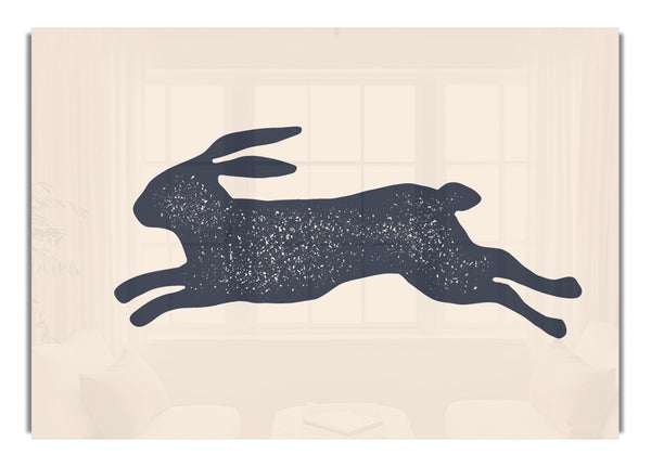 The Bouncing Hare