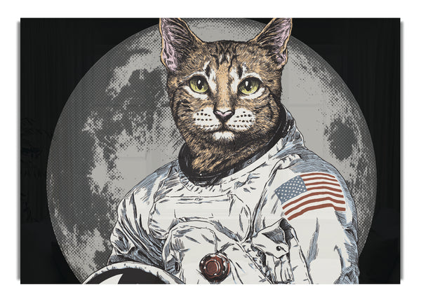 Katzenastronaut