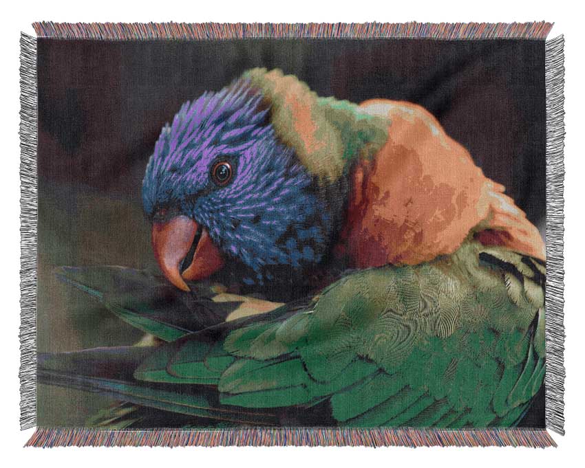 Colourful Parrot Feather Peck Woven Blanket