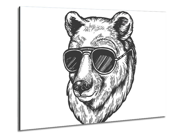 Bear Sunglasses Chill