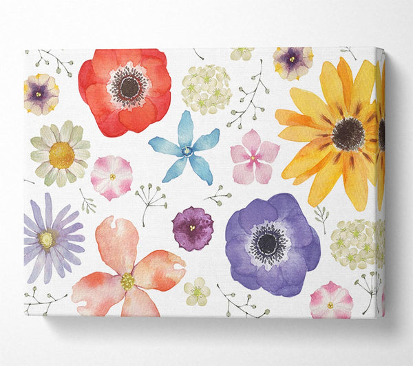 Picture of Aerial View Flowers Canvas Print Wall Art