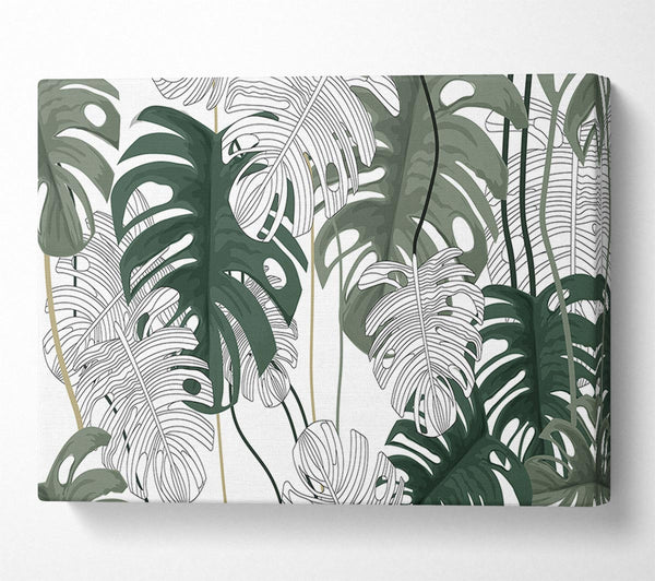 Picture of Cheese Plant Leaves Canvas Print Wall Art