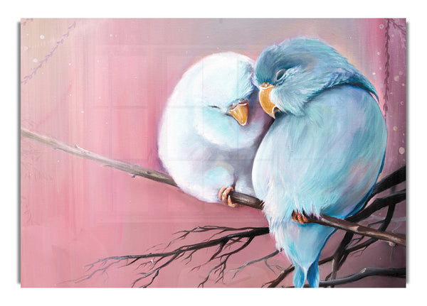 Two Love Birds On A Branch