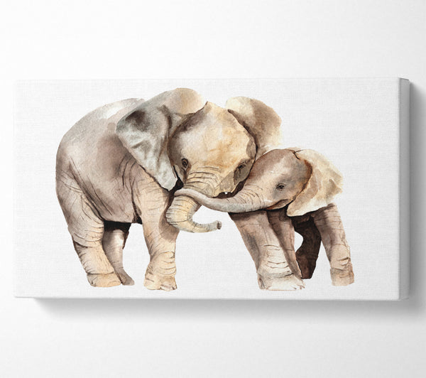 Elephants Holding Trunks