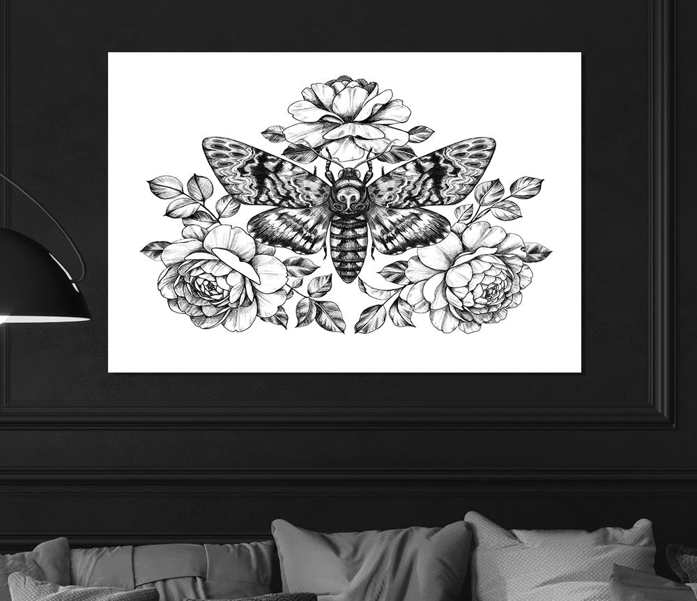 Death Head Moth Print Poster Wall Art