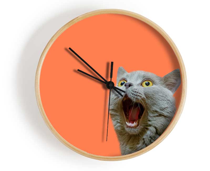 Cat On The Orange Clock - Wallart-Direct UK