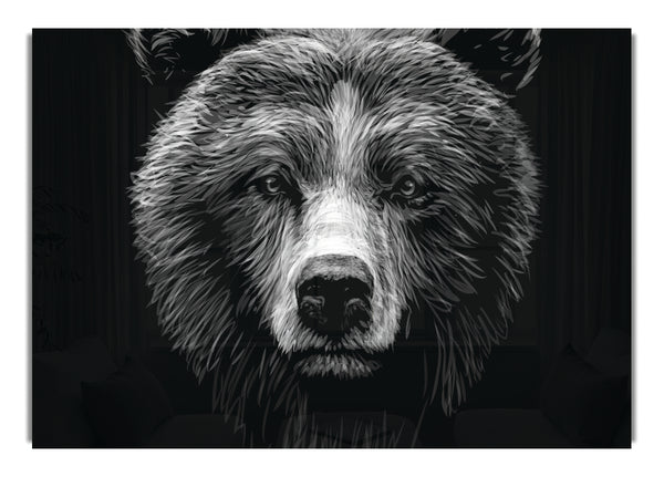 Black And White Bear Face