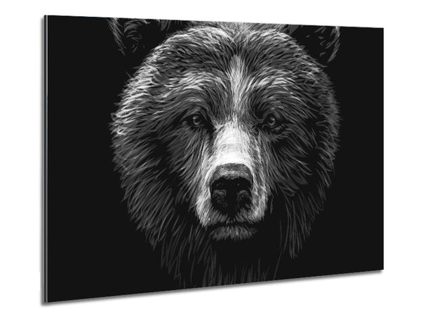 Black And White Bear Face