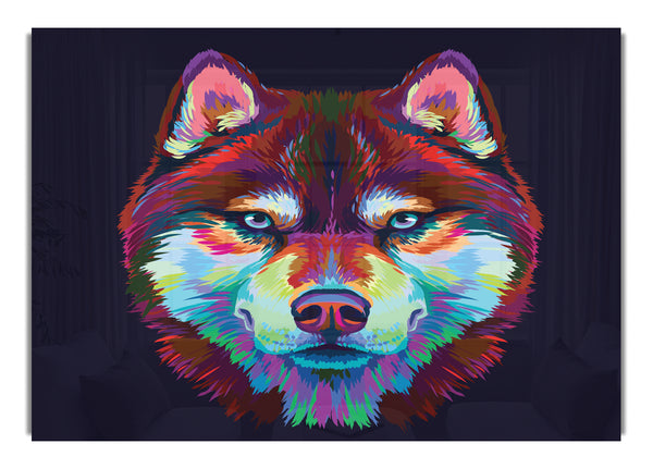 Vibrant Wolf Blues