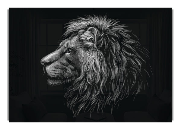 Side View Lion