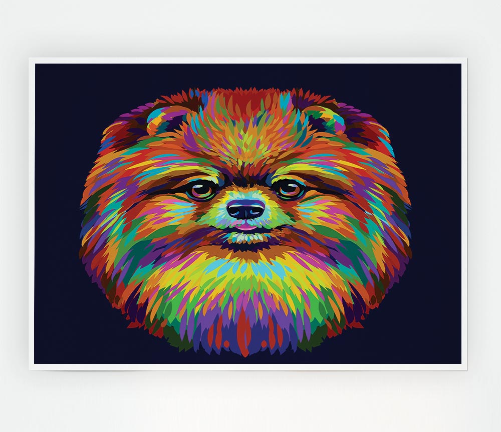 Big Fluffy Pomeranian Print Poster Wall Art