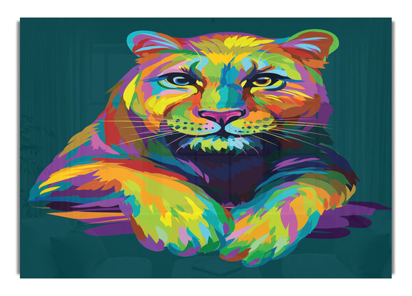 Colourful Mountain Lion