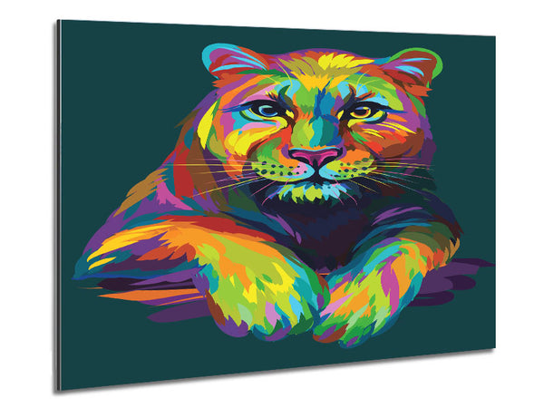 Colourful Mountain Lion