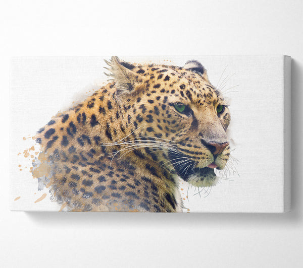 Watercolor Splash Leopard