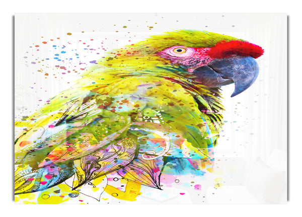 The Green Parrot Splatter