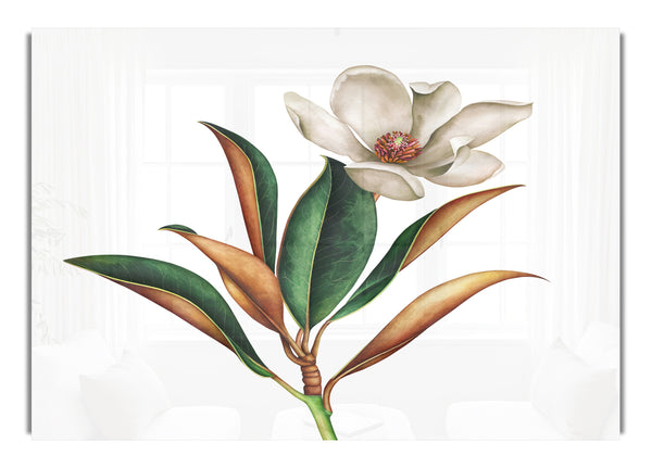 Britische Blumenillustration