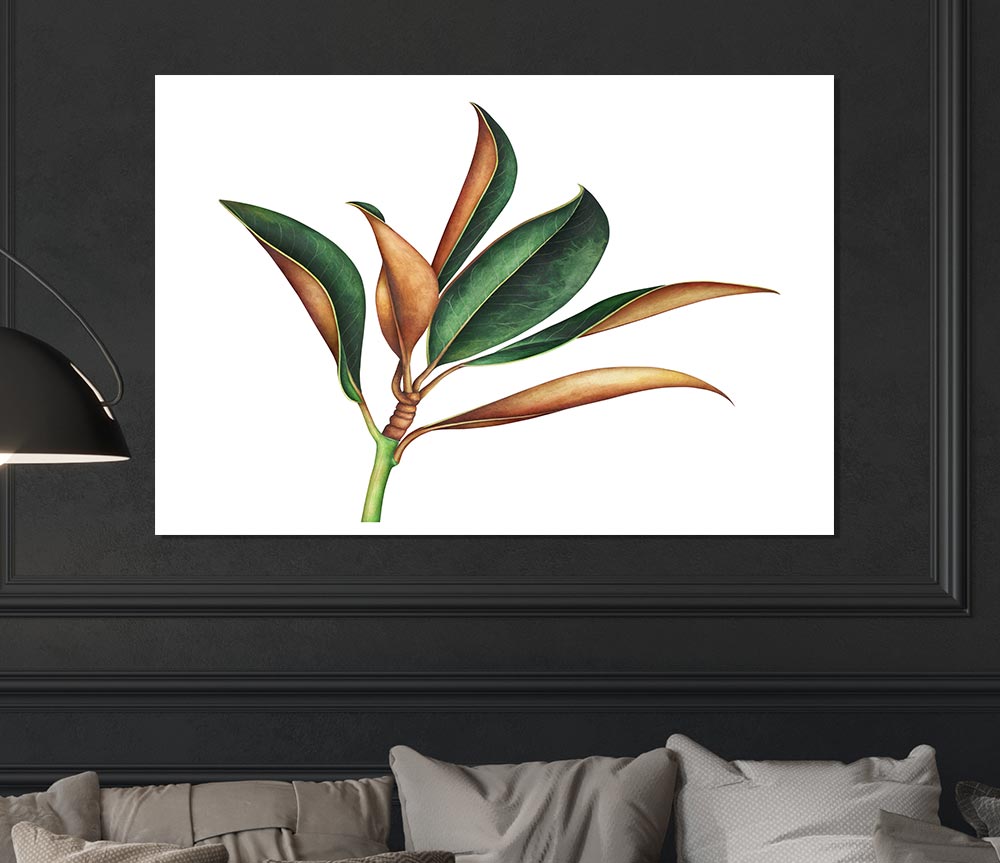 The Plant Drawing Print Poster Wall Art