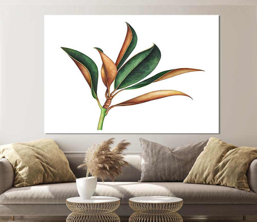 The Plant Drawing Print Poster Wall Art