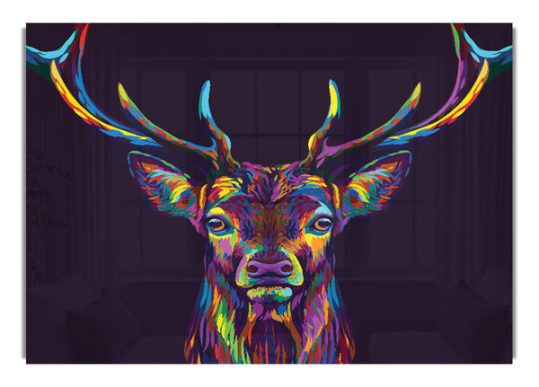 The Colourful Stag