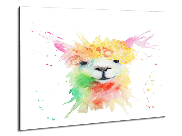 Splatter Colour Alpaca