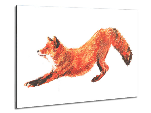 The Fox Crouching