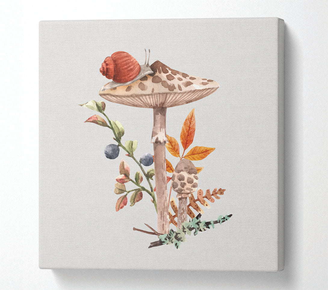 A Square Canvas Print Showing The Lone Toadstool Square Wall Art