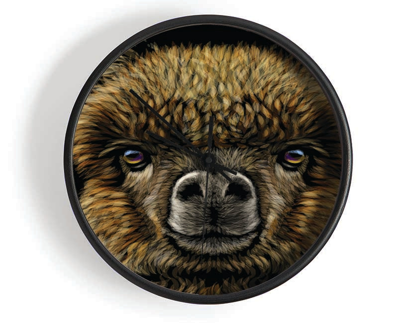 Alpaca Up Close Clock - Wallart-Direct UK