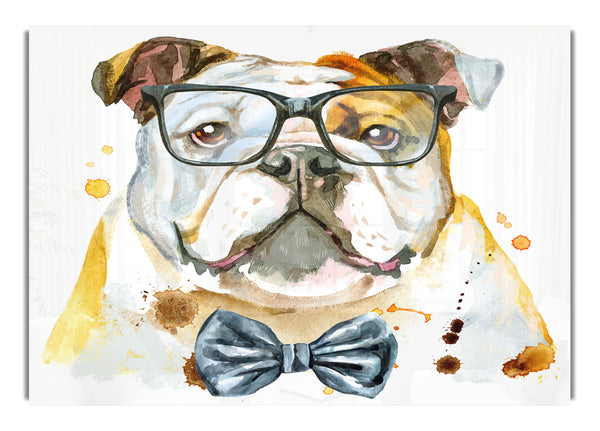 The Bulldog With Glasses