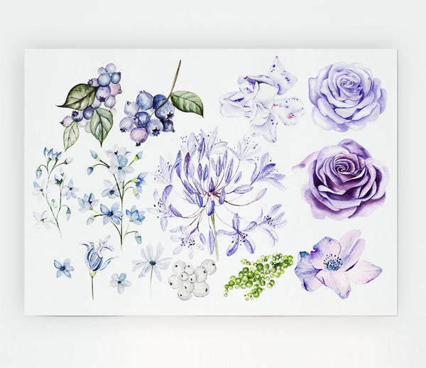 The Lilac Flower Collection Print Poster Wall Art