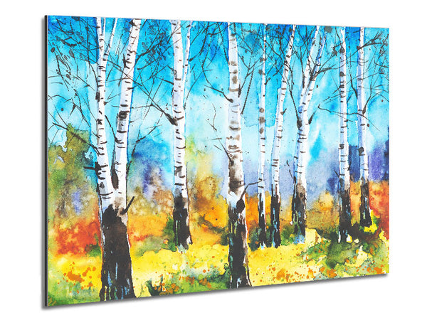 The Beautiful Birch Trees