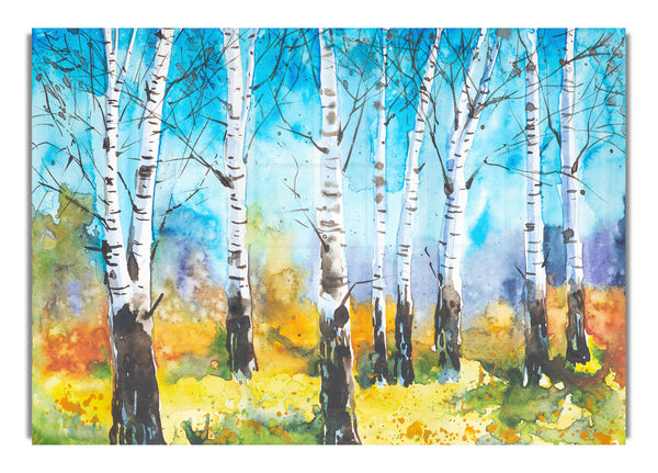 The Beautiful Birch Trees