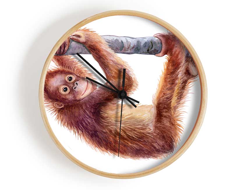 Hanging On A Branch Orangutan Clock - Wallart-Direct UK