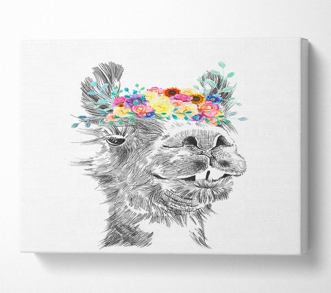 Picture of The Pretty Camel Canvas Print Wall Art