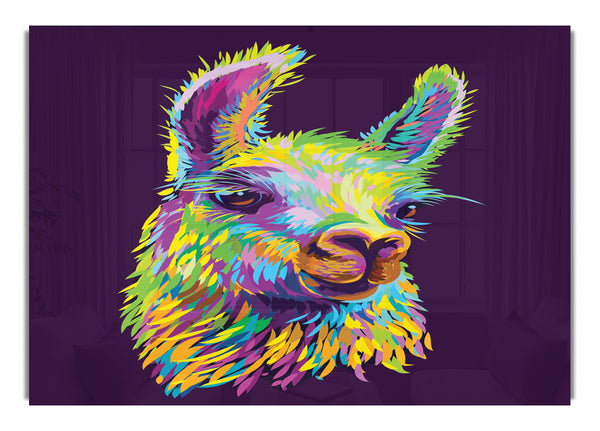 The Llama Head