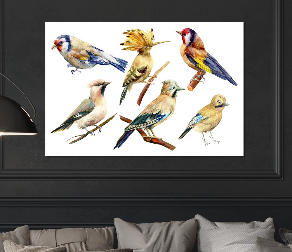 Birds Of Beauty 2 Print Poster Wall Art