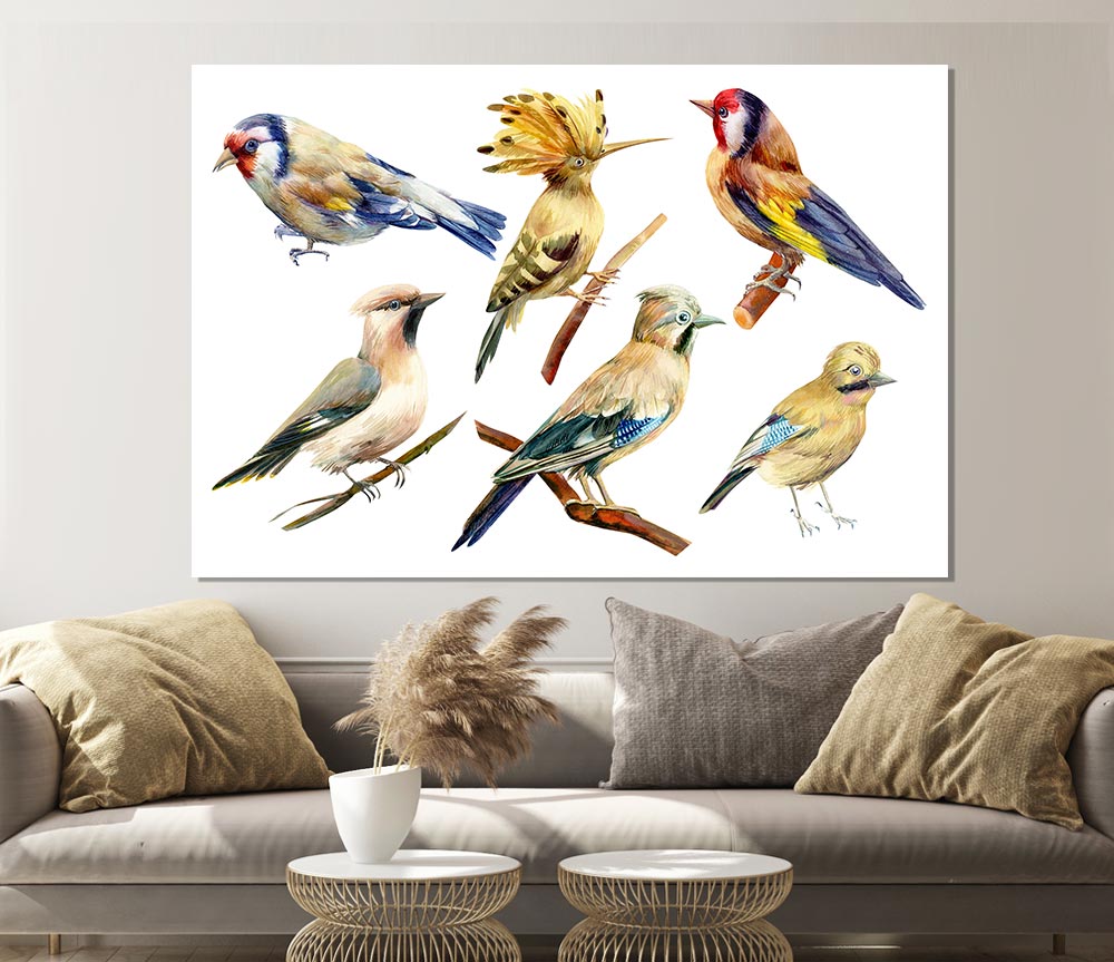 Birds Of Beauty 2 Print Poster Wall Art