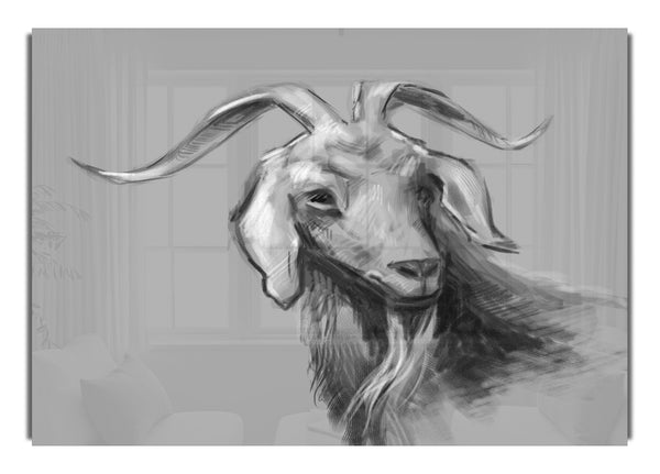 The Sketch Goat