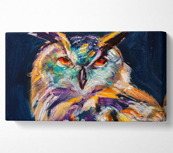 The Vivid Owl Stare