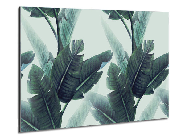 Green Banana Leaves