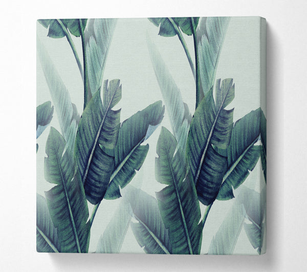 A Square Canvas Print Showing Green Banana Leaves Square Wall Art