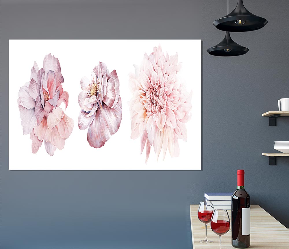 Three Pink Flower Beauty Print Poster Wall Art