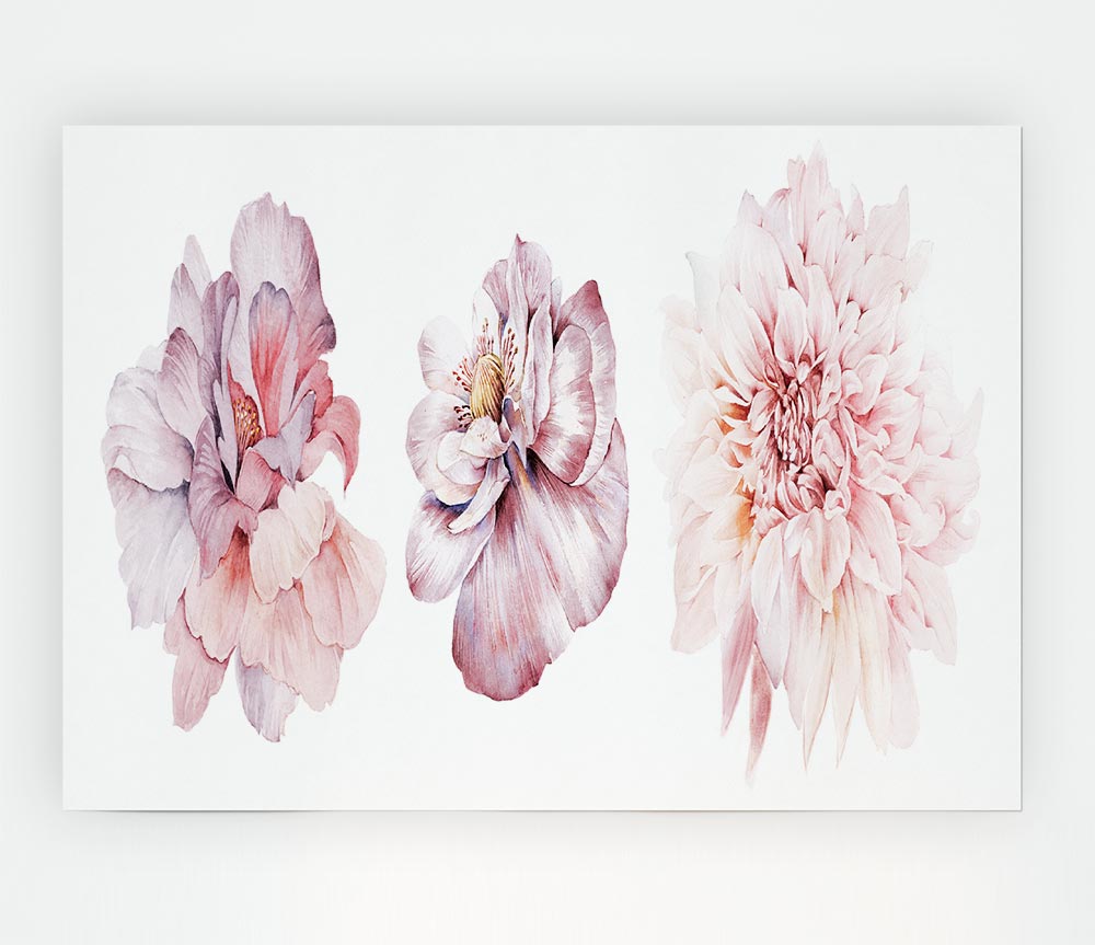 Three Pink Flower Beauty Print Poster Wall Art