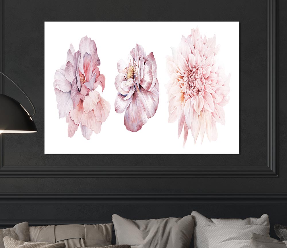 Three Pink Flower Beauty Print Poster Wall Art