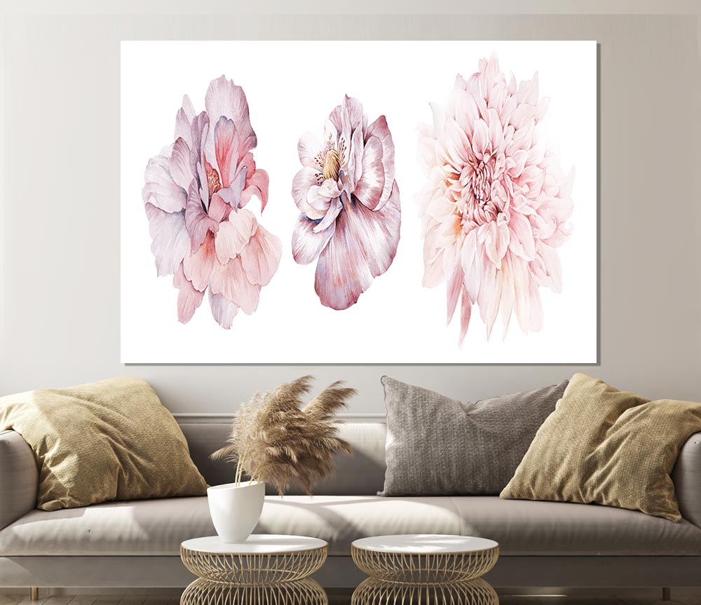 Three Pink Flower Beauty Print Poster Wall Art